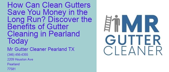 How Can Clean Gutters Save You Money in the Long Run? Discover the Benefits of Gutter Cleaning in Pearland Today
