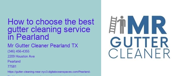 How to choose the best gutter cleaning service in Pearland 