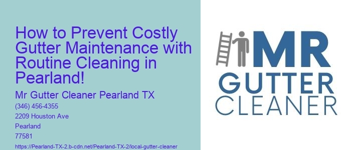 How to Prevent Costly Gutter Maintenance with Routine Cleaning in Pearland!
