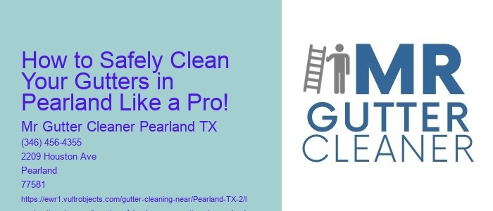 How to Safely Clean Your Gutters in Pearland Like a Pro!