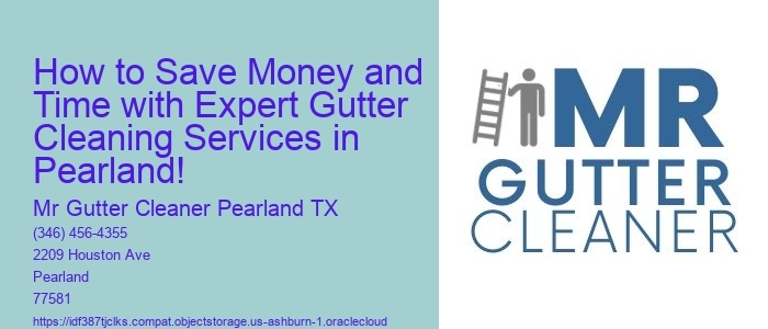How to Save Money and Time with Expert Gutter Cleaning Services in Pearland!