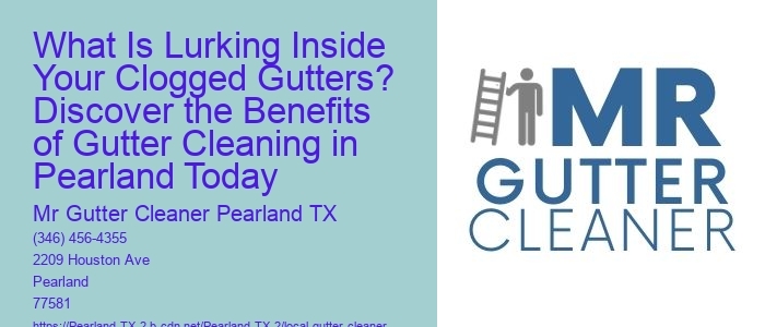 What Is Lurking Inside Your Clogged Gutters? Discover the Benefits of Gutter Cleaning in Pearland Today 