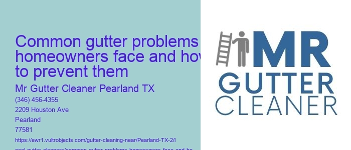 Common gutter problems homeowners face and how to prevent them 