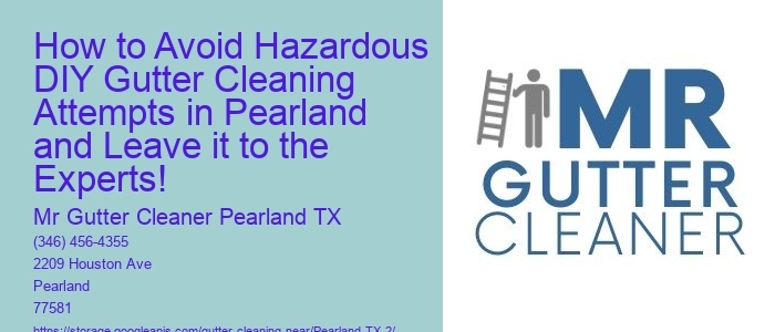 How to Avoid Hazardous DIY Gutter Cleaning Attempts in Pearland and Leave it to the Experts!